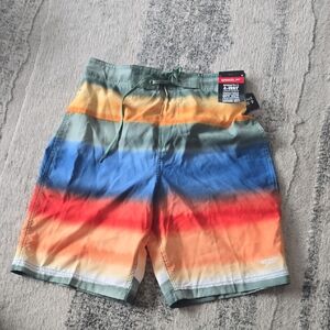Speedo Men's Sunset Stripe Board Shorts